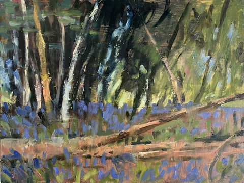 Bluebells at Kingscote