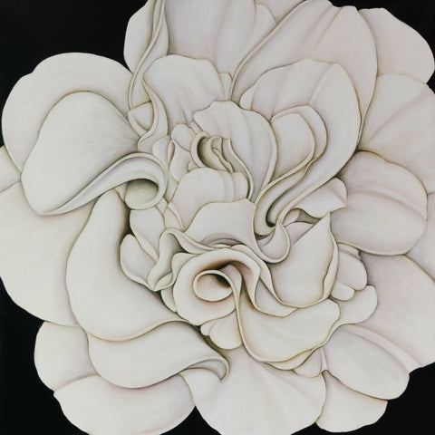 White Camellia (on Vert de Gris) Print