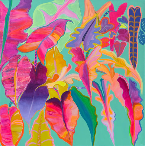 Rainbow Alocasias