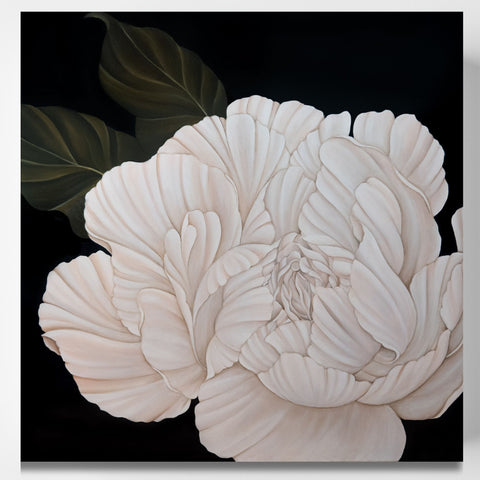 White Peony