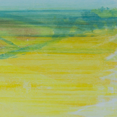 Fields III .02