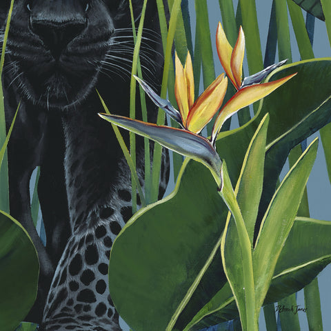 The Birds of Paradise Limited Edition