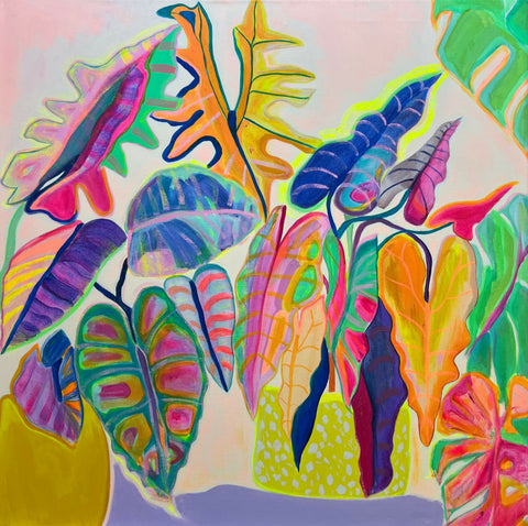 Alocasia Revelation