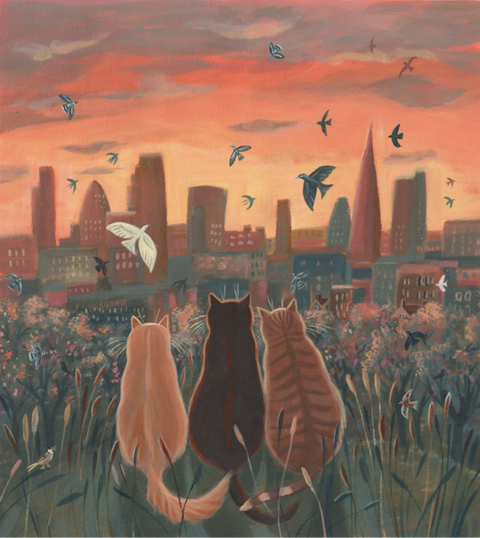 Sunset Watchers