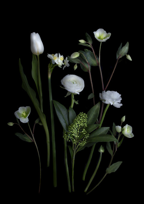 Winter White