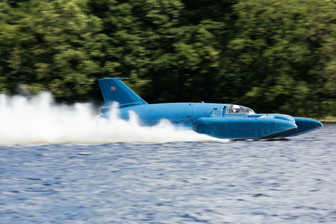 Bluebird!