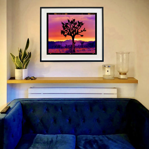 Richard_Heeps_Joshua_Tree_Landscape_In_Situ