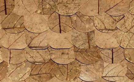 Tina Norden_Fragments III_Leaves on Cardboard_52x72cm_Details