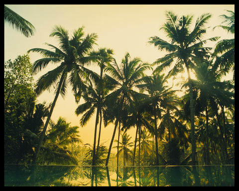 Vetyver Pool, Poovar, Kerala, 2013