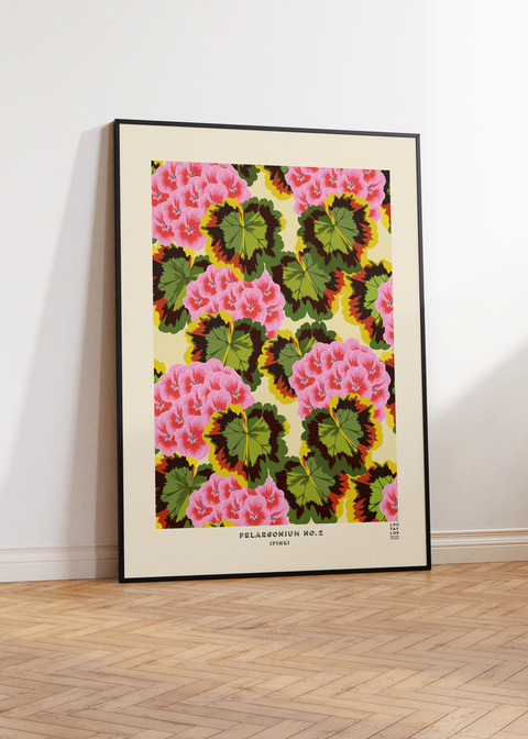 Pink Pelargonium