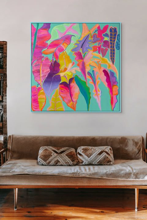 Rainbow Alocasias