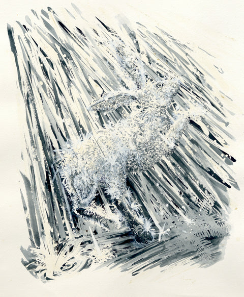 Hare in the Rain