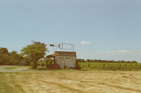 Cognac shop with vines