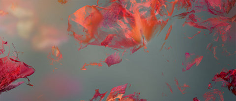 Garden of Secrets 03