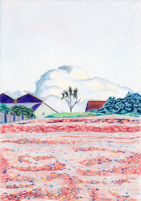 Lone Palm, 2025