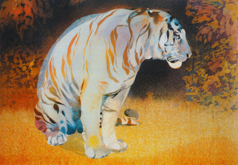 Tiger in The Bear Rainforest