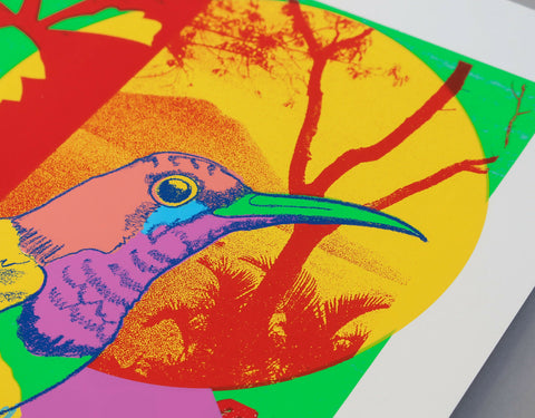 Melissa-North_Sunbird_detail-2