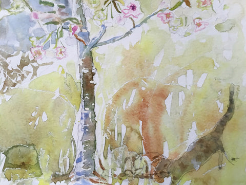 Flowering Cherry - Fragrant Cloud