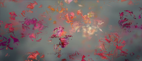 Garden of Secrets 01