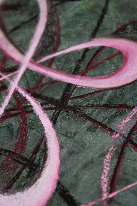 CLOSEUP1
