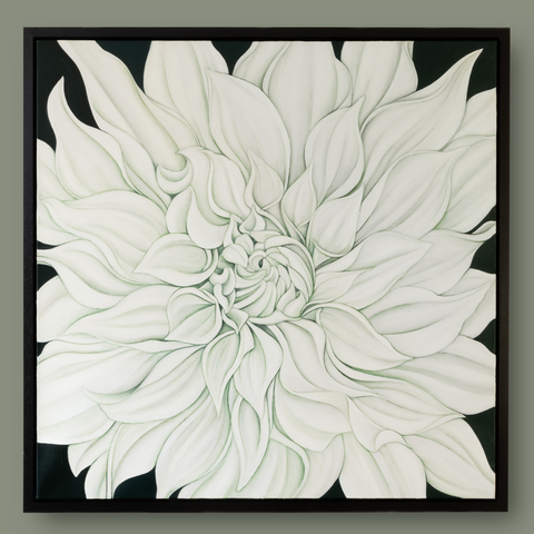 Large White Dahlia on Vert de Gris