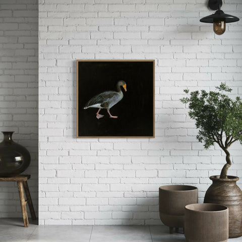 Greylag Goose