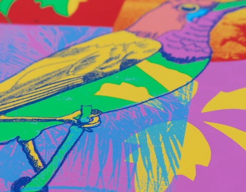 Melissa-North_Sunbird_detail-3