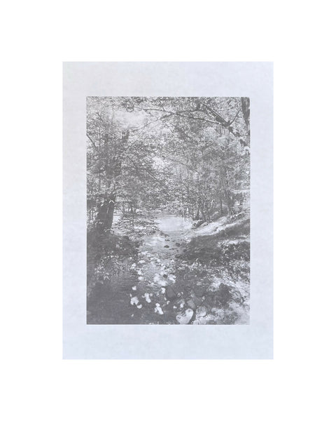 In the Streaming Light