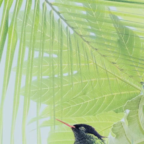 A Flash of Green