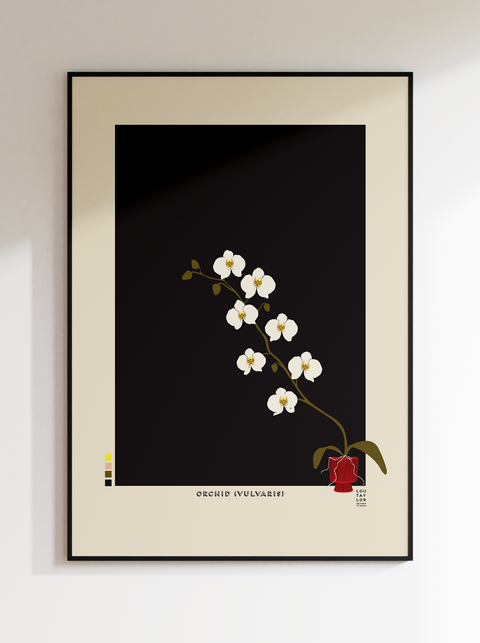 Orchid Vulvaris