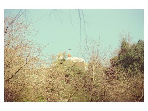 Greenwich Observatory In the Treetops