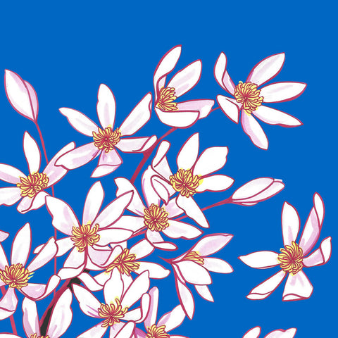 Magpies and Clematis