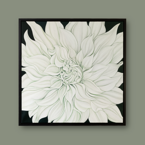 Large White Dahlia on Vert de Gris