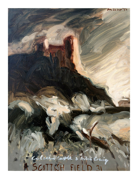 A Scottish Field 31