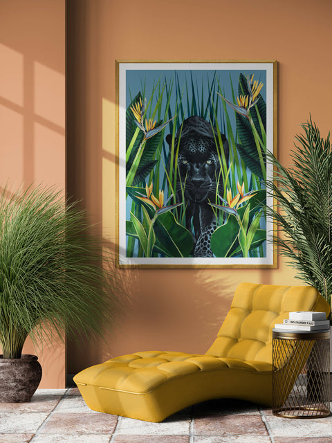 The Birds of Paradise Limited Edition