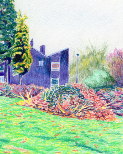 Thickets, 2025