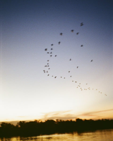 Last Light on the Zambezi