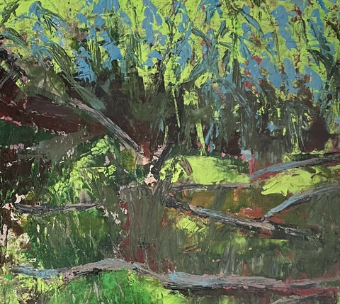 Tree Roots and Bluebells