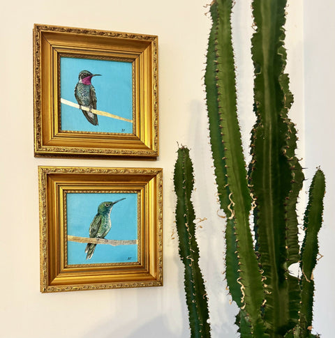 Hummingbird Pink Neck