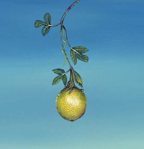 Passion Fruit final cropped low res