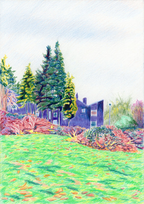 Thickets, 2025