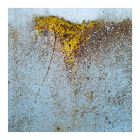 6V4A5342.2023.05.19. Uphill Horse Abstract.bord3.web