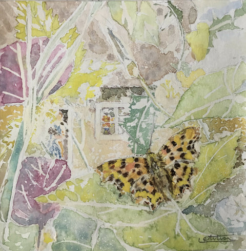 Comma Butterfly