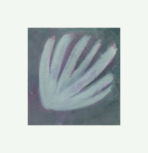Seed 2