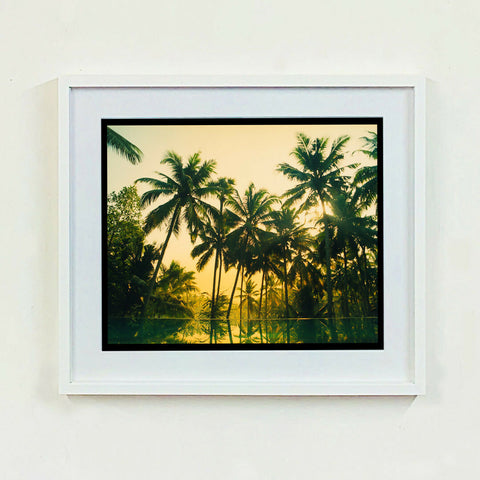 Vetyver Pool, Poovar, Kerala, 2013