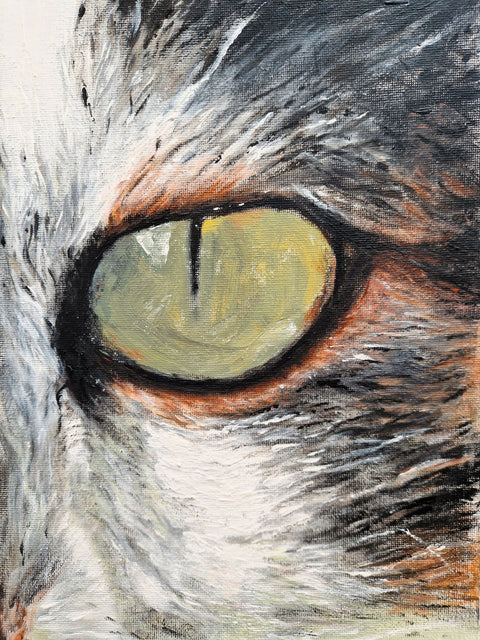 Cat's Eye