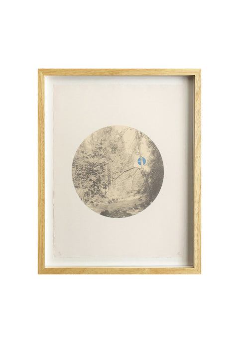 Moonlight Through The Trees