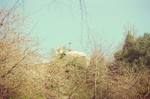 Greenwich Observatory In the Treetops