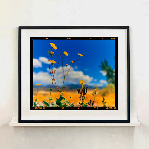 Hell's Gate Landscape Black Frame 970