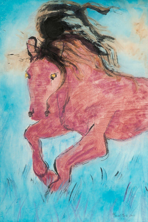 Wild horse